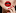 Phonekelly Icon
